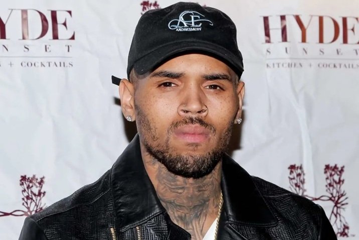 Chris brown net worth