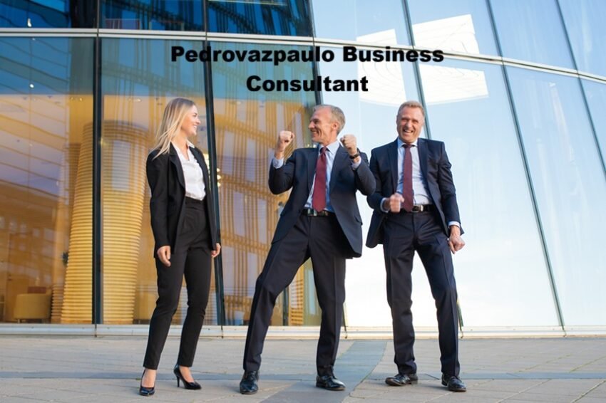 Pedrovazpaulo Business Consultant